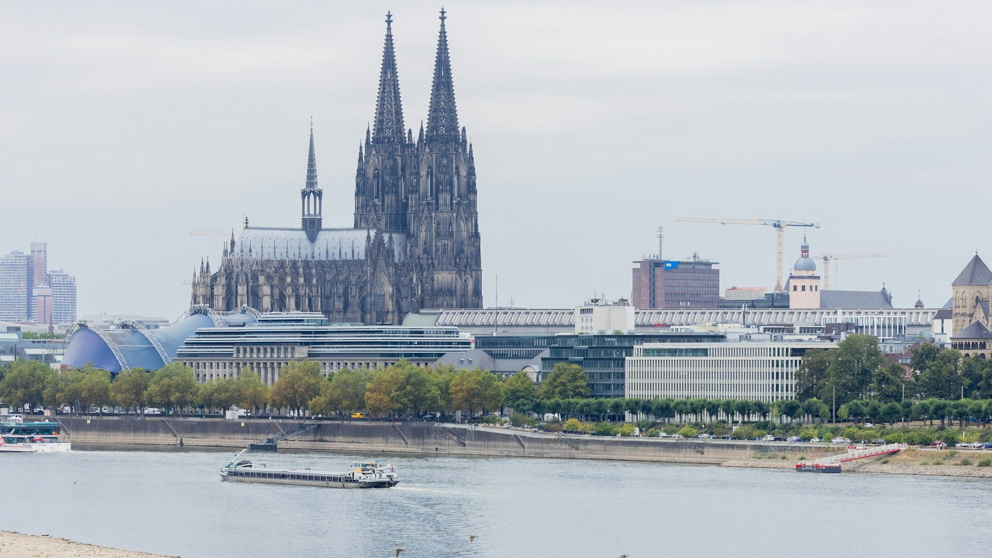 Schiffe fahren auf dem Rhein, der sehr wenig Wasser führt. Im Hintergrund ist der Kölner Dom zu sehen. Auch das ausgetrocknete Rheinufer ist deutlich sichtbar.