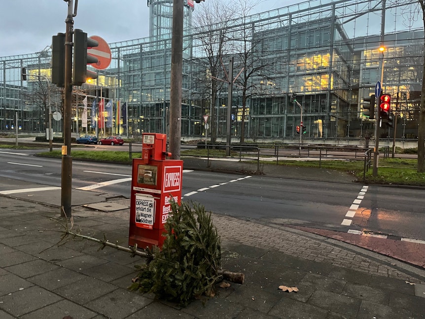 Ein kleiner Weihnachtsbaum liegt im Februar in Köln.