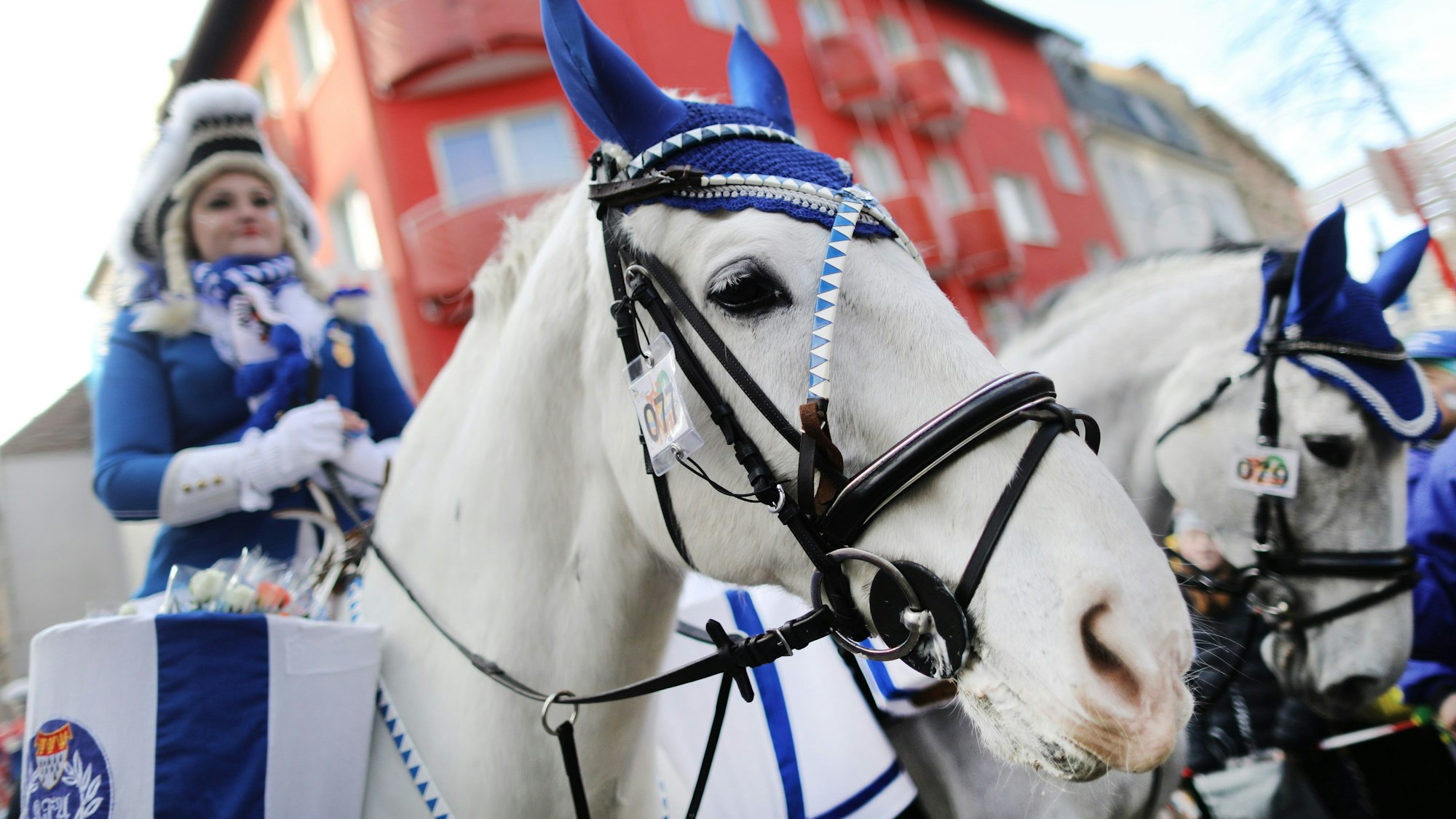 ARCHIV - 12.02.2018, Nordrhein-Westfalen, Köln: Eine Karnevalistin auf einem Pferd nimmt am Kölner Rosenmontagszug teil.