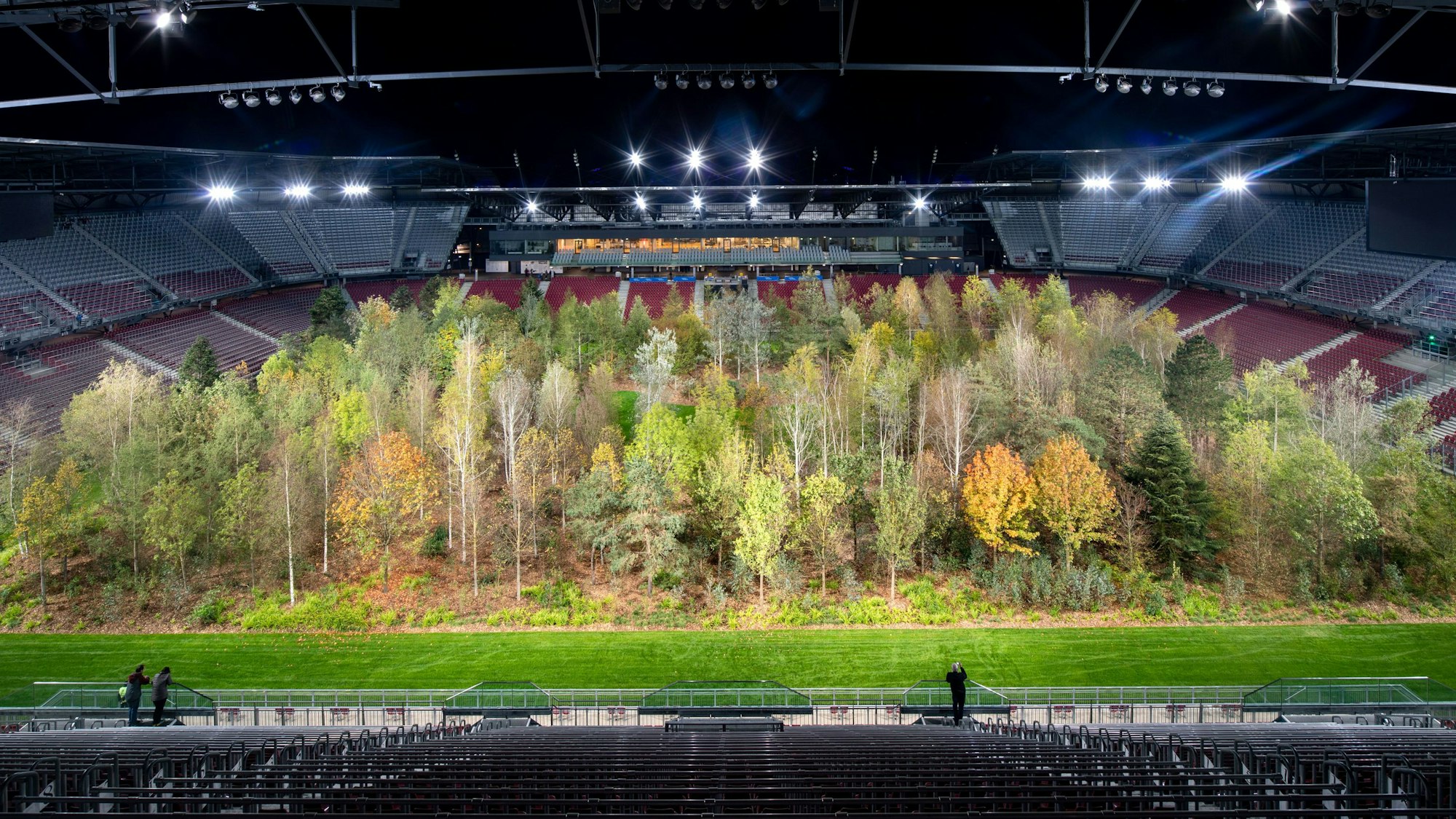Klaus Littmanns „For Forest“ zeigt einen Mischwald, der auf dem Rasen eines modernen Fußballstadions steht.