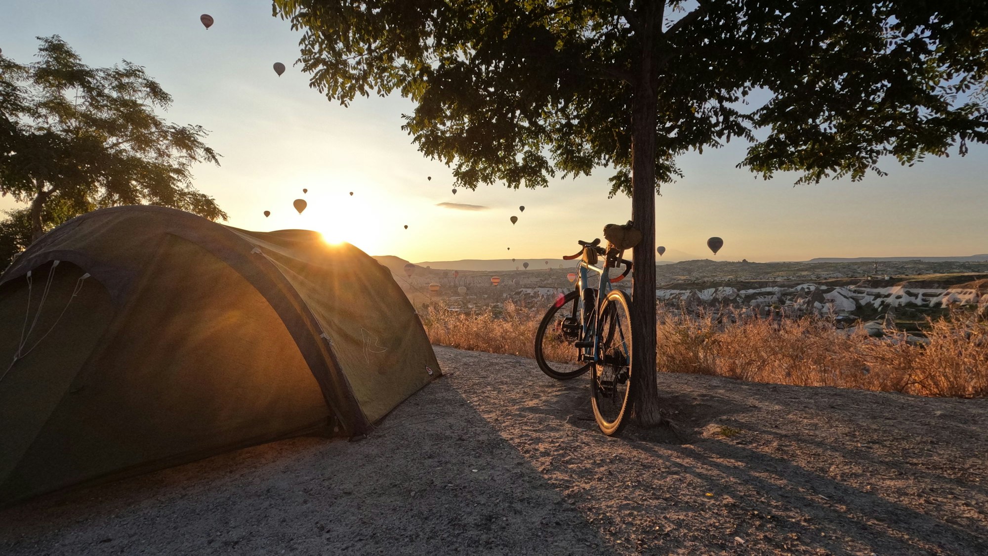 Ein Rad lehnt an einen Baum neben einem Zelt im Hintergrund geht die Sonne unter und bescheint Heißluftbaloons am Himmel