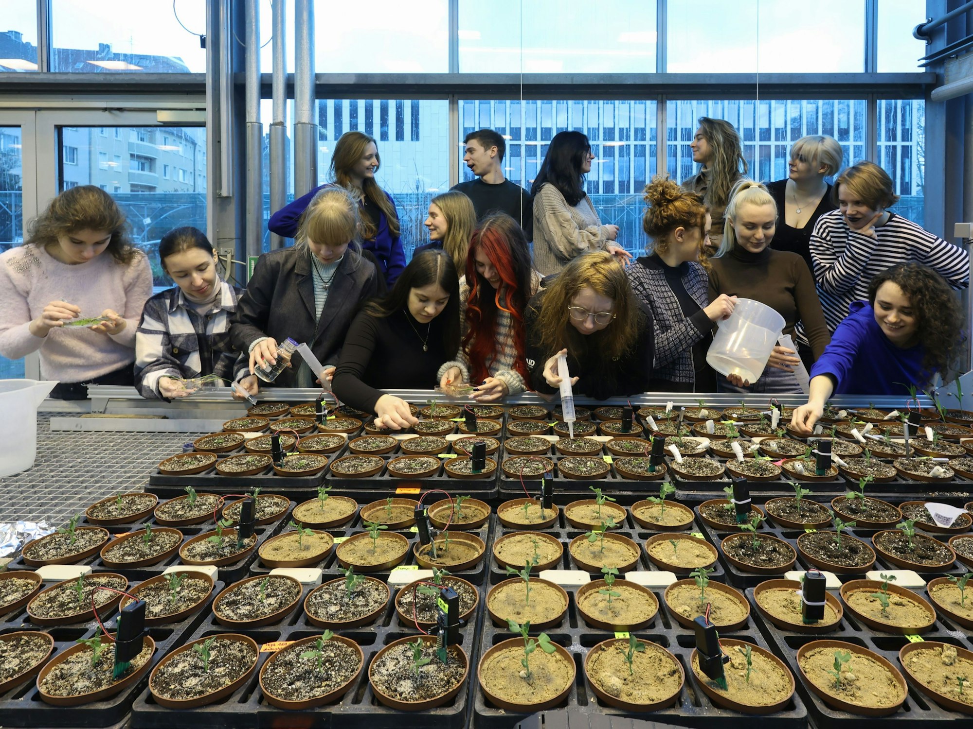 Das Bild zeigt die Gruppe des Projekt „Plant-Ukraine“ im Gewächshaus der Universität zu Köln.