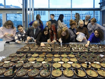 Das Bild zeigt die Gruppe des Projekt „Plant-Ukraine“ im Gewächshaus der Universität zu Köln.