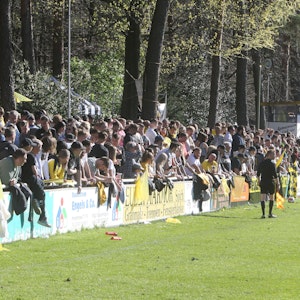 1500 Zuschauer kamen zum FVM-Pokalhalbfinale des 1. FC Spich gegen den Drittligisten Viktoria Köln auf den Spicher Höhen.