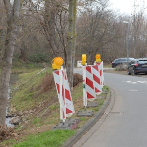 Straßenbegrenzungen stehen am Rand der Fahrbahn an der Lilienstraße in Roitzheim.