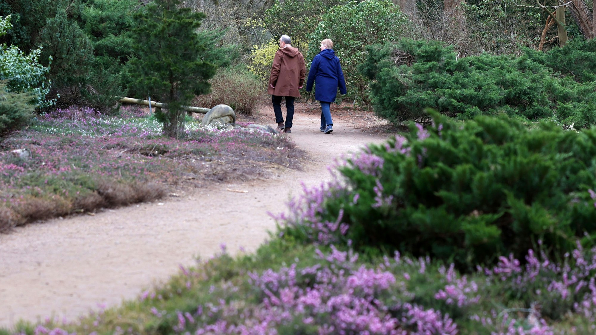 Mann und Frau laufen durch einen Park