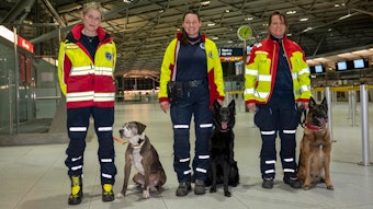 Frau Boysen, Frau Lambert und Frau Pilger mit ihren Personensuchhunden. Rettungskräfte mit Suchhunden checken am Flughafen ein, um Erdbebenopfer in der Türkei zu helfen. Foto: Uwe Weiser