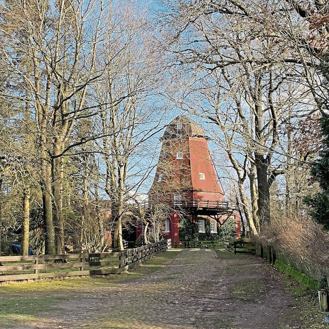 Die flügellose Windmühle im niedersächsischen Eddelstorf:  Neue Windräder dürfen in ihrer Nähe nicht gebaut werden.
