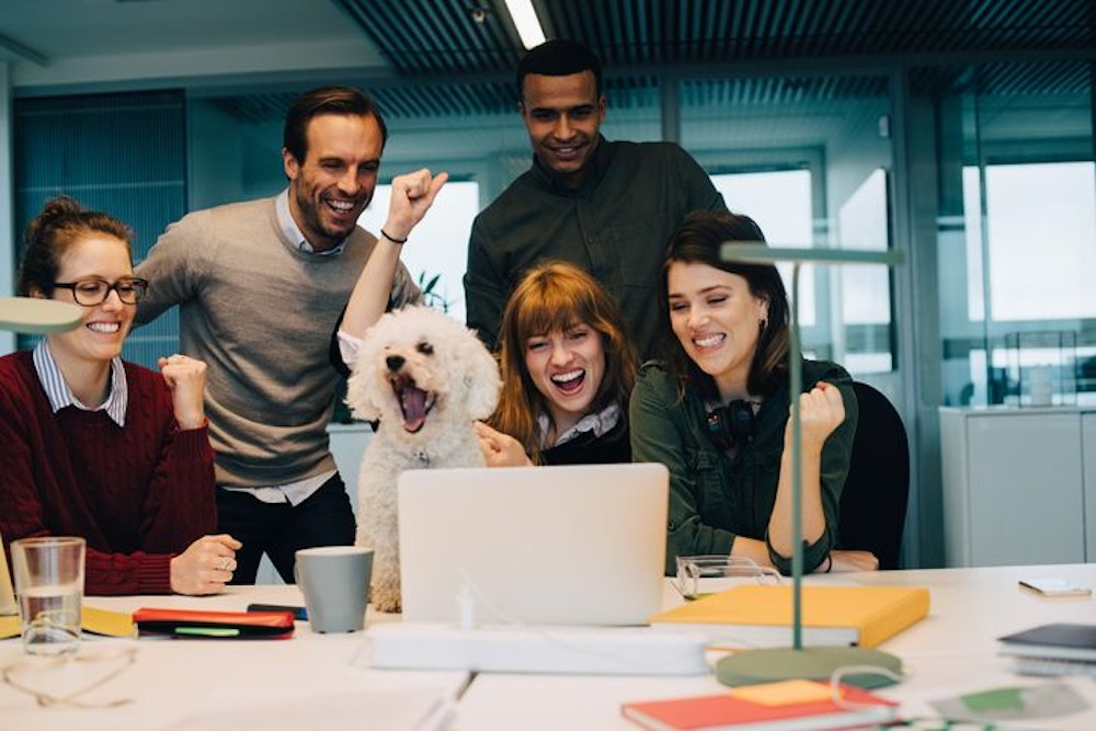 Aufgeregtes Business team mit Bürohund im Office