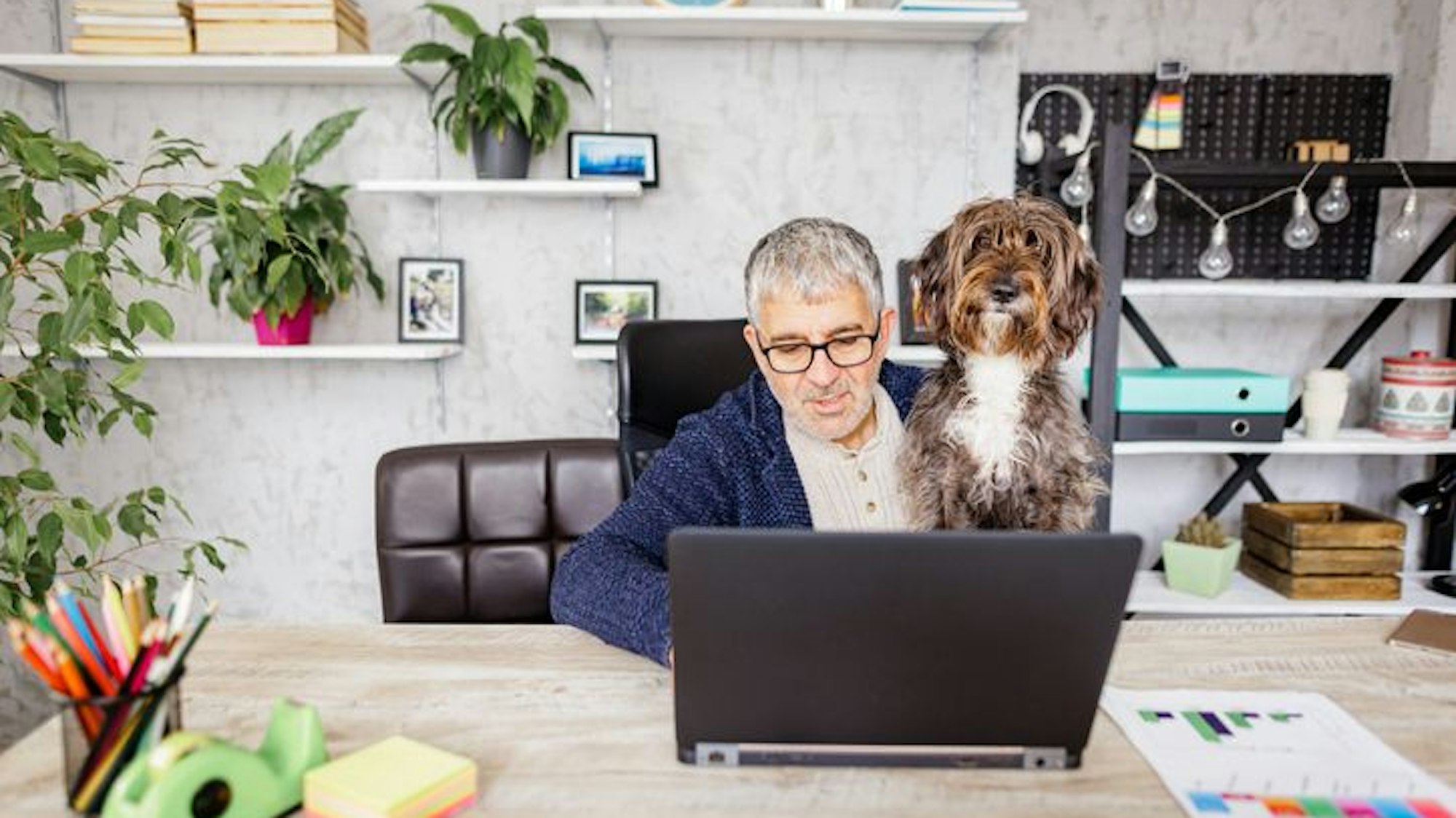 Hund sitzt auf dem Schoß von einem Mann, der am Laptop arbeitet