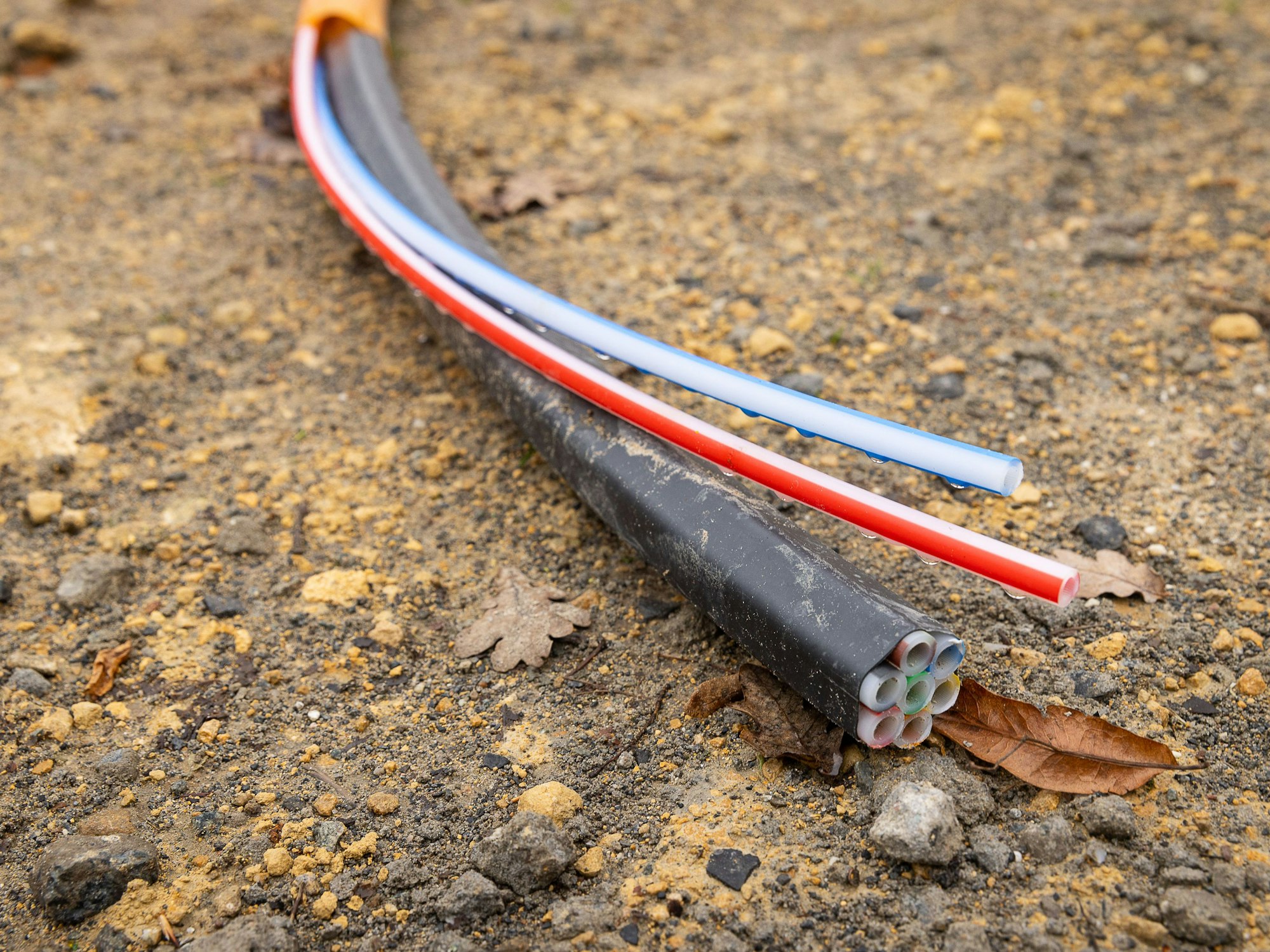 Ein Glasfaserkabel liegt auf einer Baustelle. In Düsseldorf hat ein Bagger 17 Kabel durchtrennt und das Internet lahmgelegt.