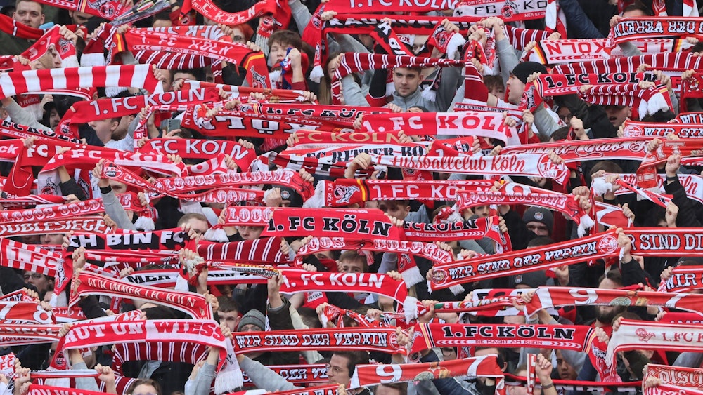 Fans des 1. FC Köln halten ihre Schals hoch.