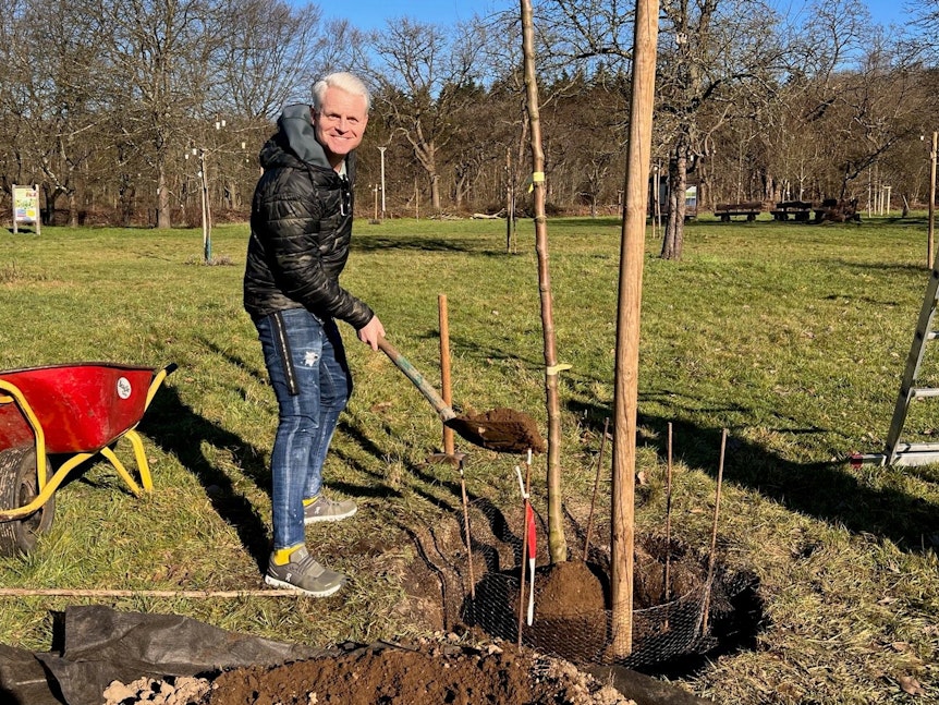 Gudio Cantz pflanzt am Montag (13. Februar) einen Apfelbaum auf Gut Leidenhauen in Köln.
