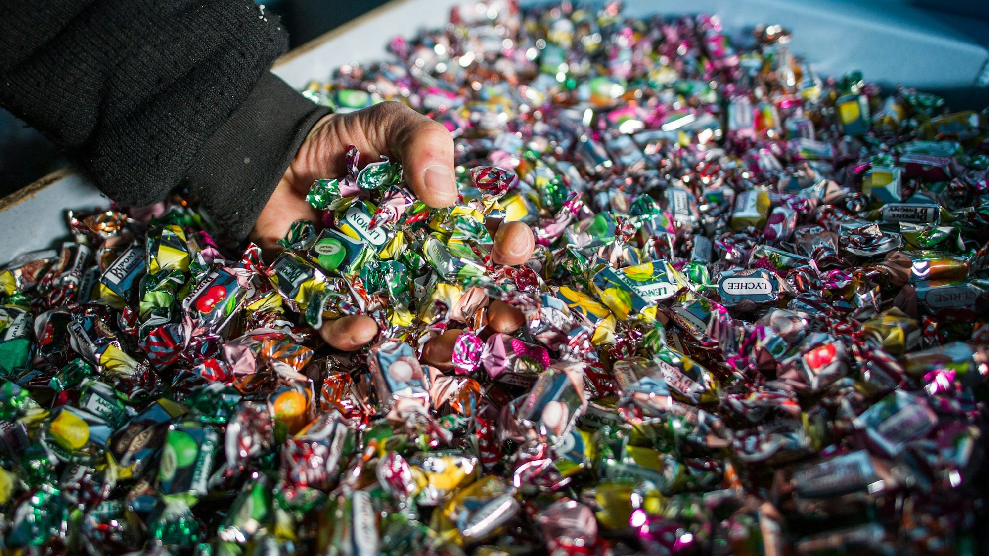 Eine Hand greift auf einem Karnevalswagen nach Süßigkeiten.