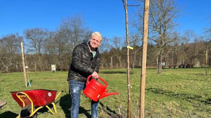 Guido Cantz gießt einen Apfelbaum der Sorte Schick's Rheinischer Landapfel auf der Obstwiese auf Gut Leidenhausen im Kölner Stadtteil Porz-Eil.