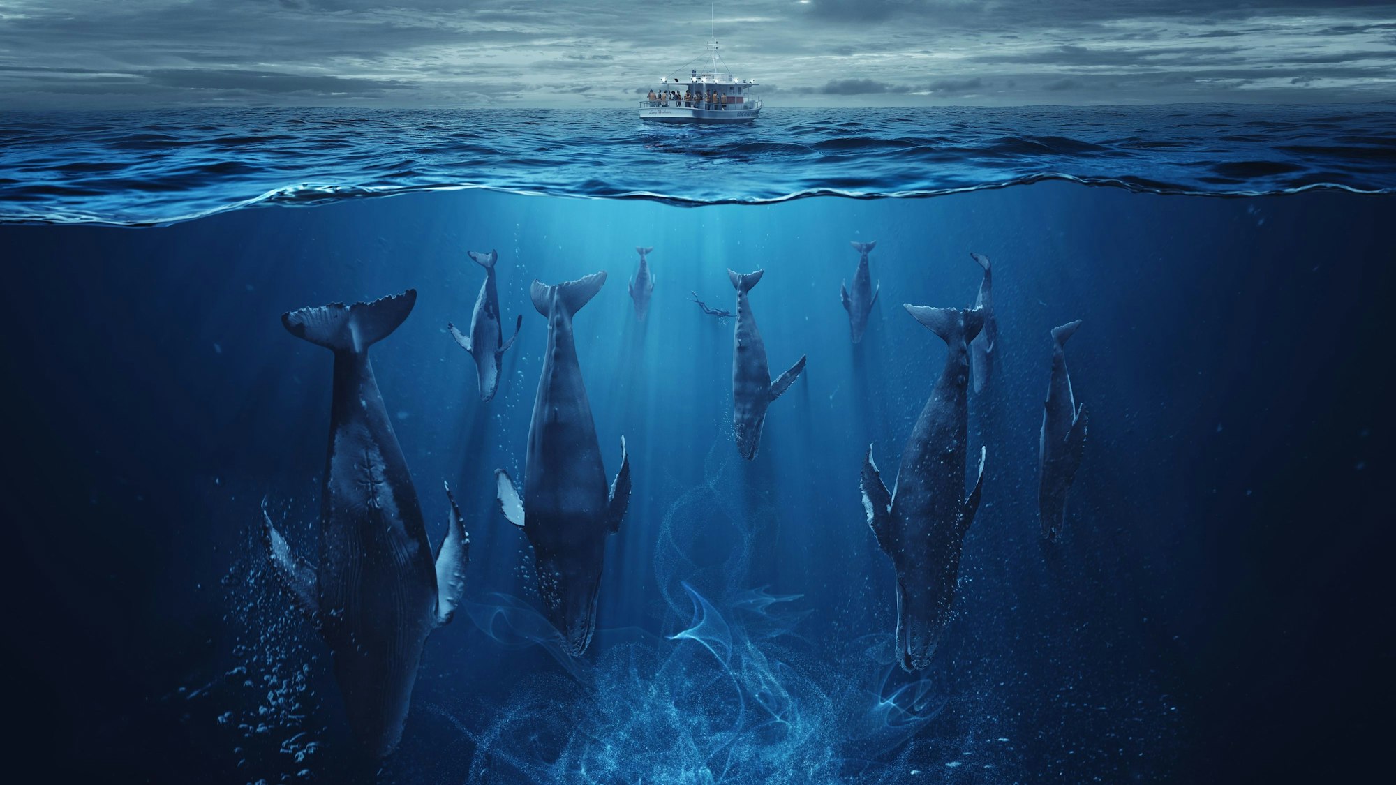 Szene aus „Der Schwarm“: Wale schwimmen kopfüber im Wasser über einer geheimnisvoll leuchtenden Masse