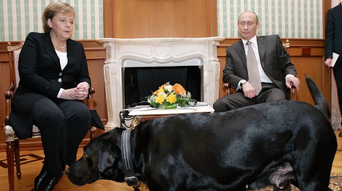 Der russische Präsident Wladimir Putin und die deutsche Bundeskanzlerin Angela Merkel halten im Januar 2007 ein Arbeitstreffen in der Präsidentenresidenz Bocharov Ruchei in der Nähe des Schwarzmeerortes Sotschi ab. Koni, Präsident Putins schwarzer Labrador Retriever, ist im Vordergrund zu sehen.