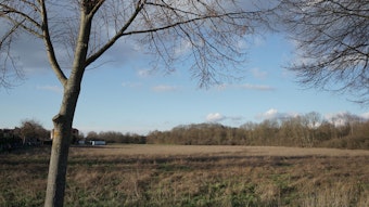 Ein einzelner Baum steht vor einem weitläufigen Feld.