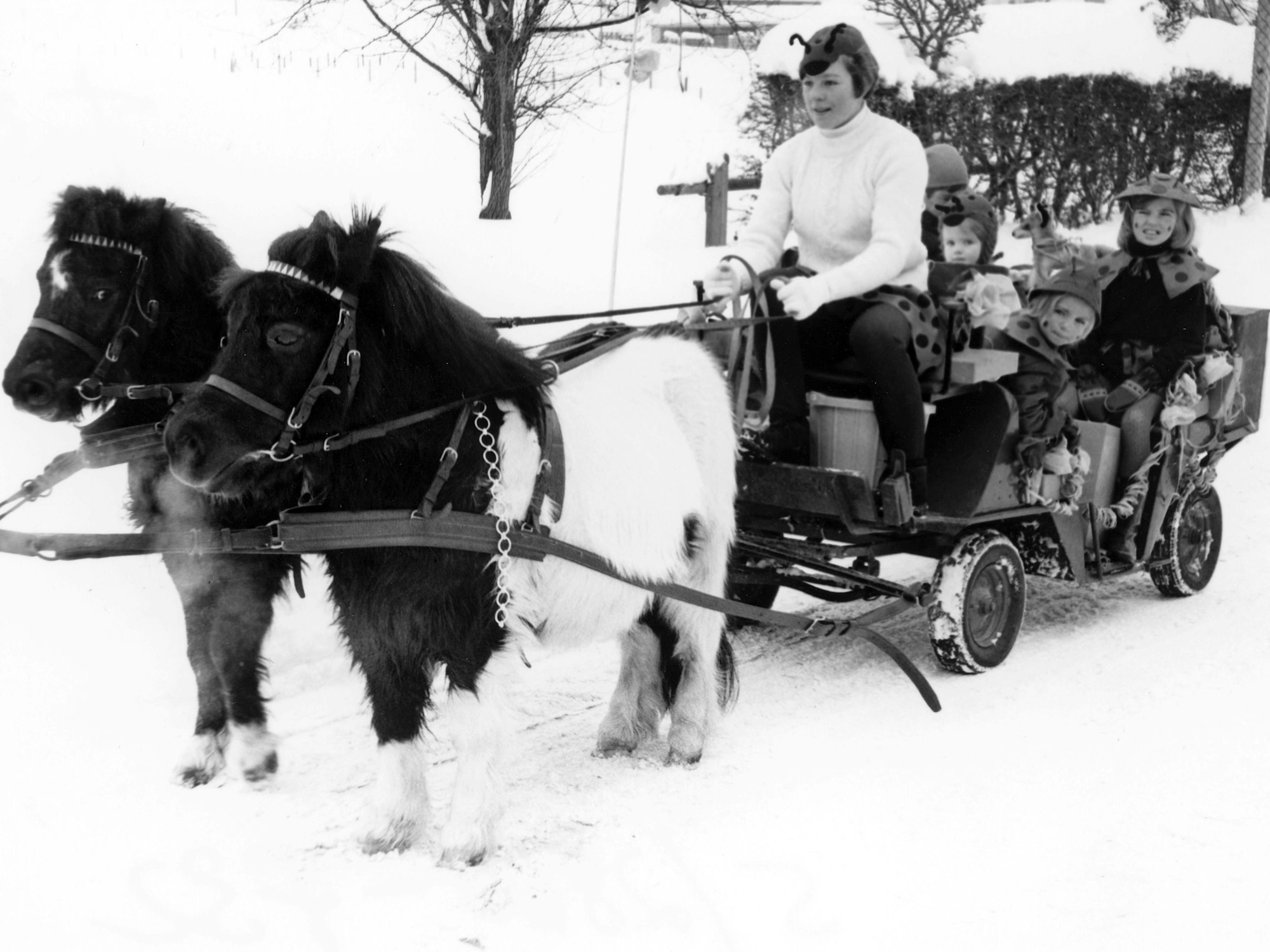 Mitunter lag in der Eifel beim Straßenkarneval, wie hier in Hellenthal, noch gehörig Schnee. Da wurden die Pänz auch schon mal mit dem Pferd zum Zoch gezogen.