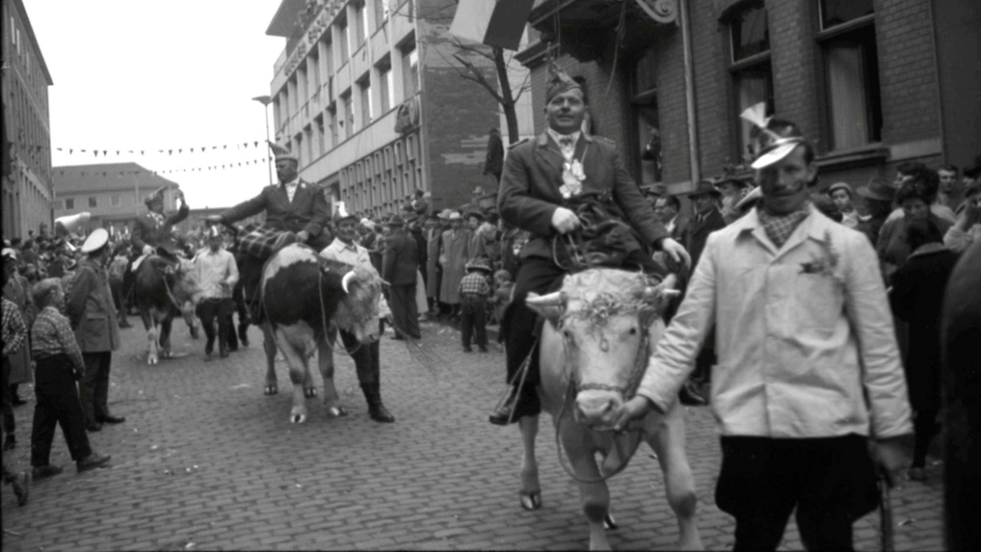 Beim Rosenmontagszug 1960 in Euskirchen ging es tierisch zu. Die Jecken ritten auf Ochsen durch die Bahnhofstraße.