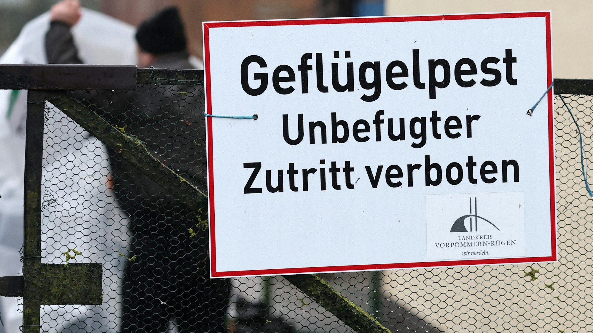 „Geflügelpest – Unbefugter Zutritt verboten“ steht auf einem Schild am Zaun eines betroffenen Hofes. (Symbolbild)