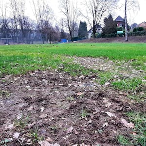 Blick auf den aufgewühlten Rasen des Bolzplatzes in Burscheid