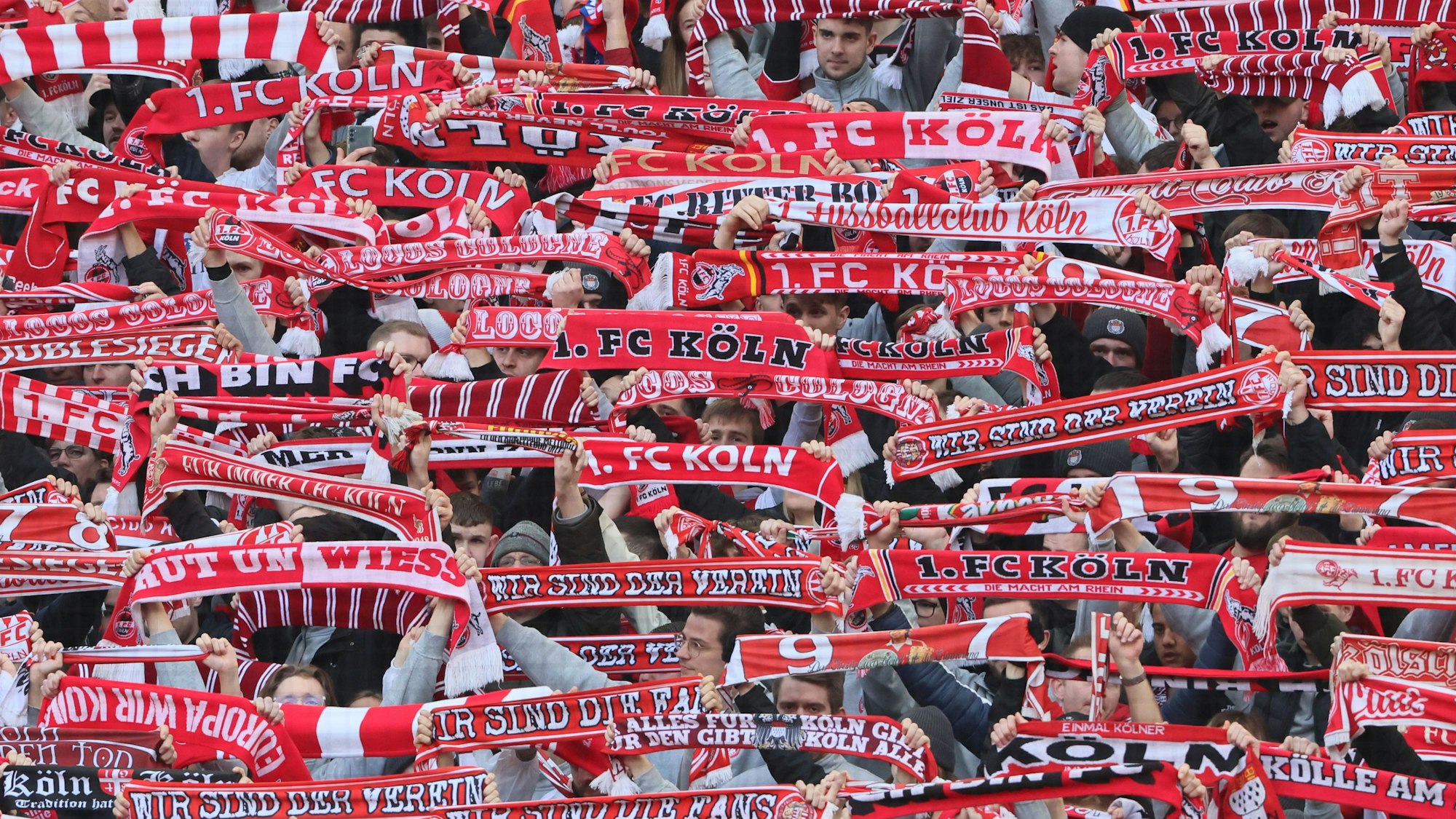 Fans des 1. FC Köln zeigen ihre Schals.








