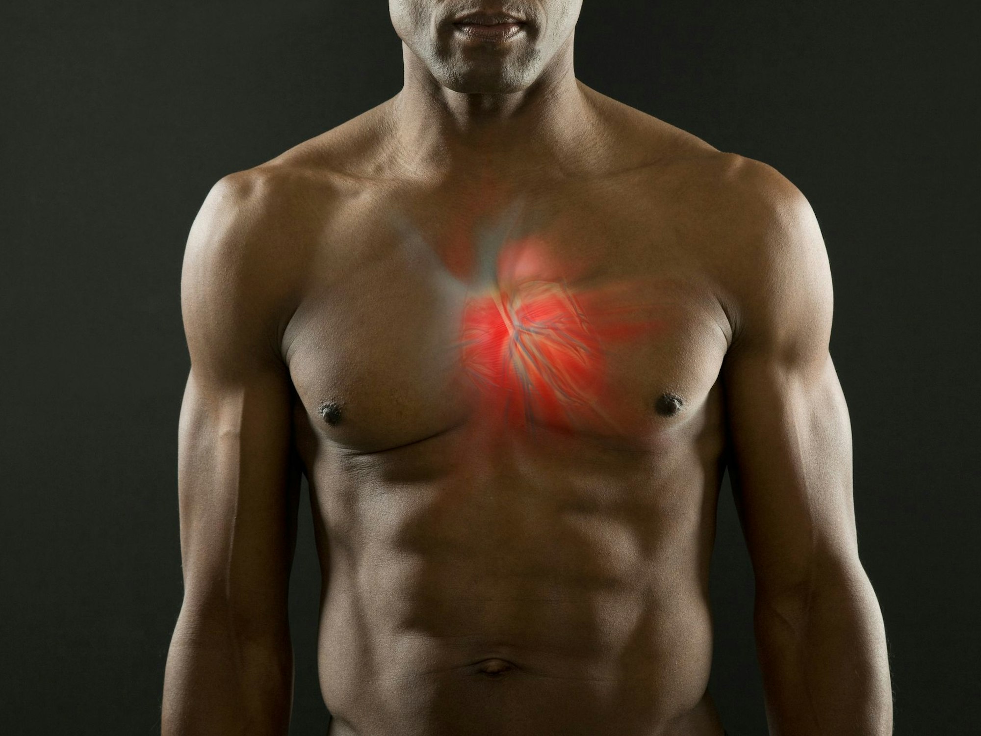 Darstellung von Herz und Blutgefäßen in der Brust eines Mannes