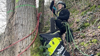 Eine Frau mit einem Sicherheitsgeschirr und Helm hängt an Seilen an einem Baumstamm.