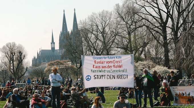 Demonstranten im Rheinpark bei gutem Wetter – Im Hintergrund der Kölner Dom