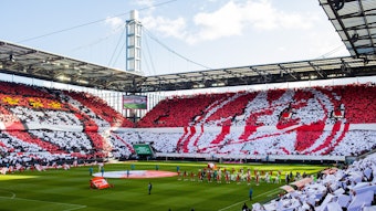 Die Fans des 1. FC Köln zeigen beim Heimspiel gegen den VfL Wolfsburg eine Choreografie.