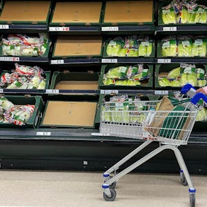 Eine Frau steht vor teilweise leeren Gemüse-Regalen in einem Supermarkt. Großbritannien muss sich nach Angaben seiner heimischen Bauern um Lebensmittel aus heimischer Produktion zunehmend Sorgen machen. (Archivbild)
