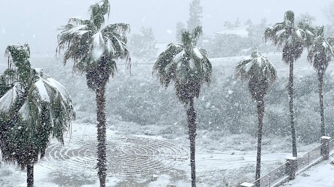 Palmen in Rancho Cucamonga im Süden Kaliforniens sind schneebedeckt