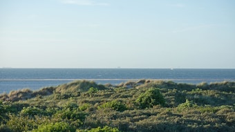 Ouddorp Dünen und Blick auf die Nordsee, Süd-Holland