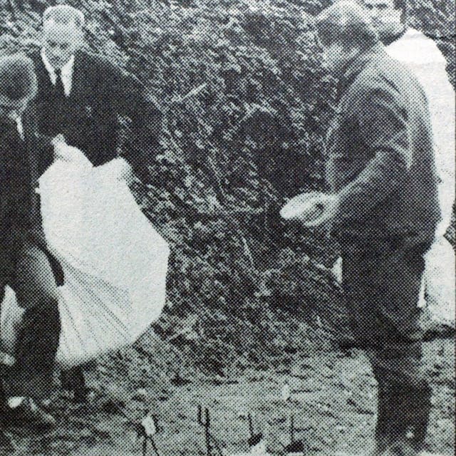 Bestatter tragen die Leiche von Seckin Caglar in einem Leichensack weg.