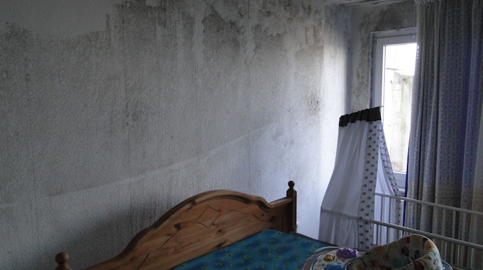 Ein Schlafzimmer, dessen Wände großflächig von schwarzem Schimmel befallen sind