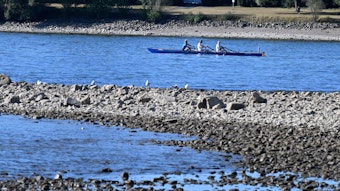 Ein Ruderboot fährt auf dem Rhein. Der Fluss führt Niedrigwasser.