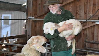 Bauer Peter Schmidt hält ein Lamm in den Armen.