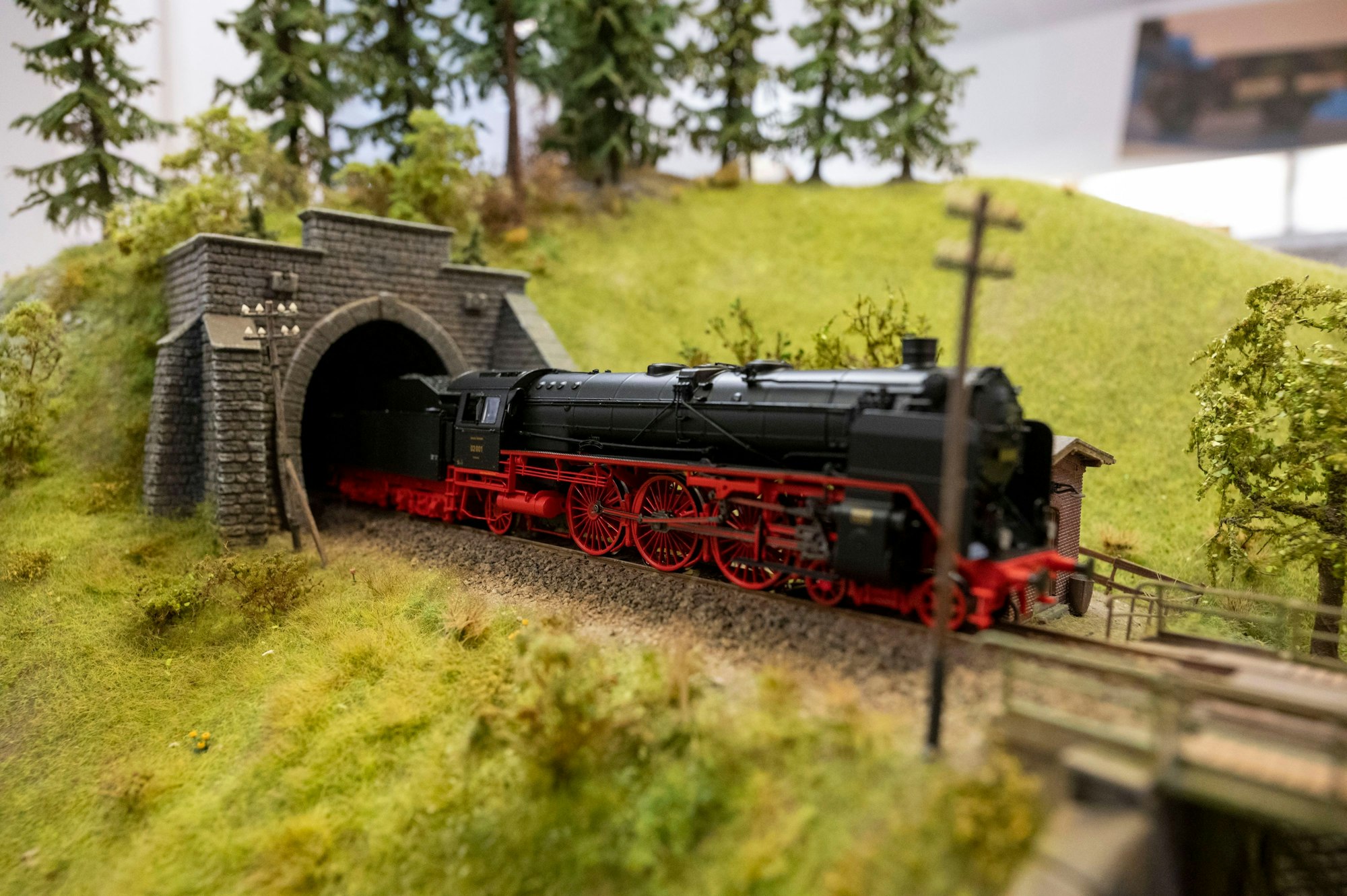 Ein Modell-Lok fährt in einem Diorama in einen Tunnel ein.