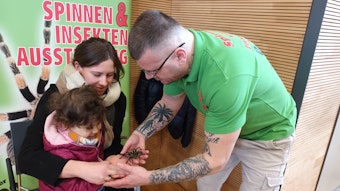 "Wie ein Kuscheltier": Vanessa Ertek und Töchterchen Ayla gingen auf Tuchfühlung mit einer brasilianischen Graurauch-Vogelspinne.