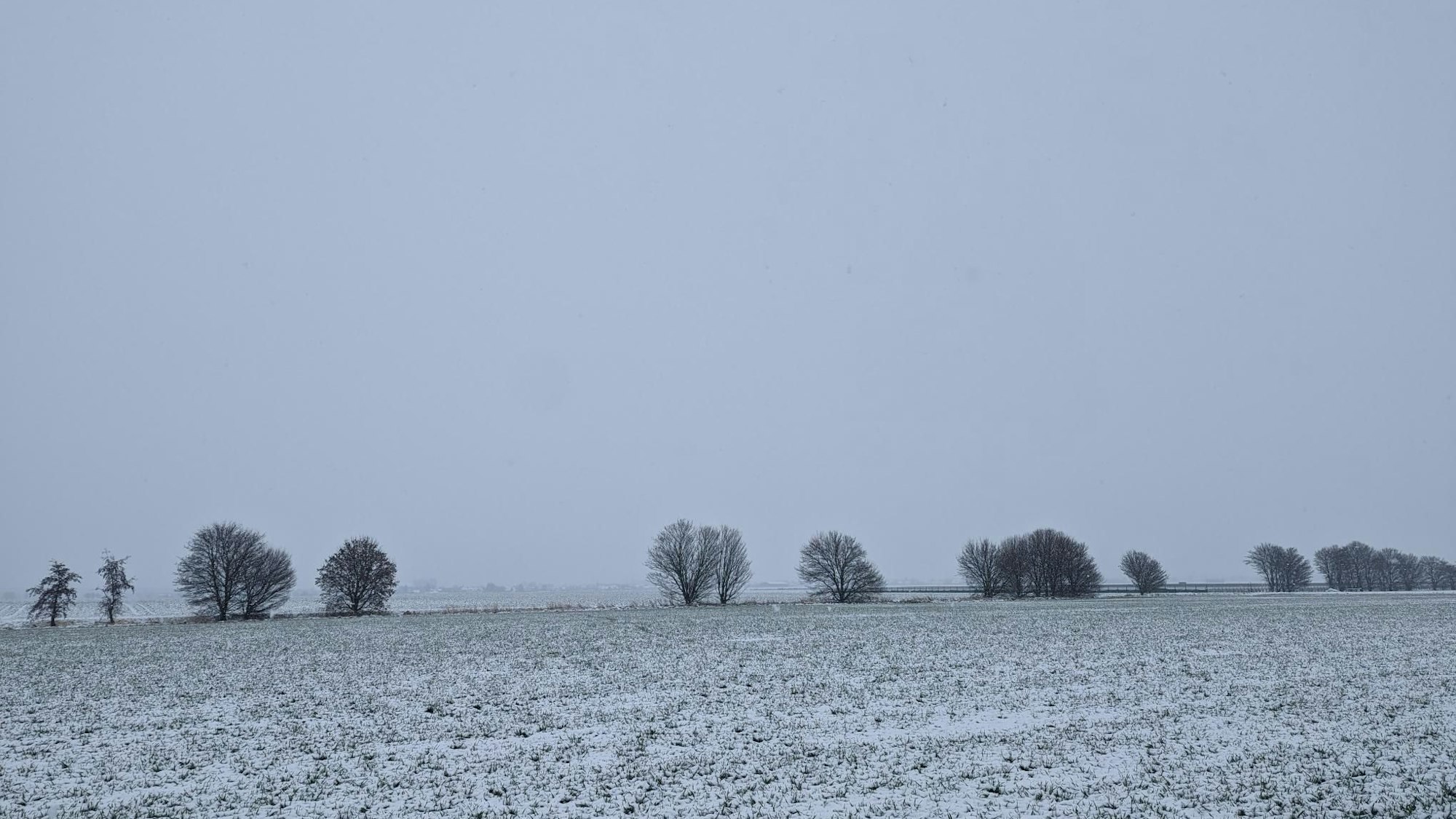 Schnee auf einem Feld