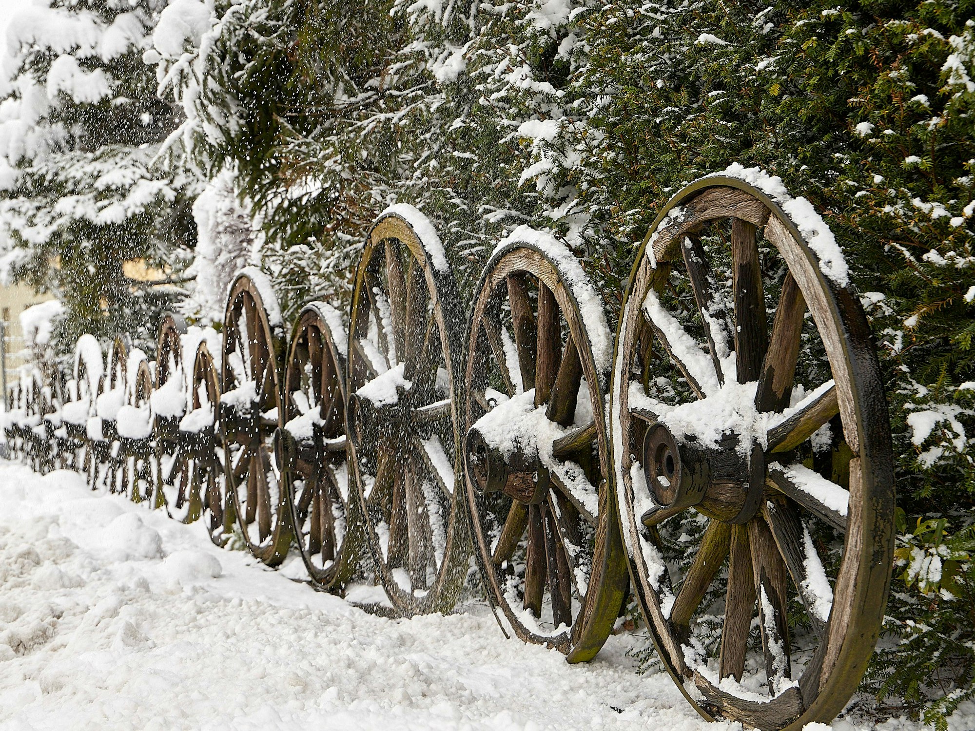 Hölzerne Dekorations-Wagenräder sind mit Schnee bedeckt.