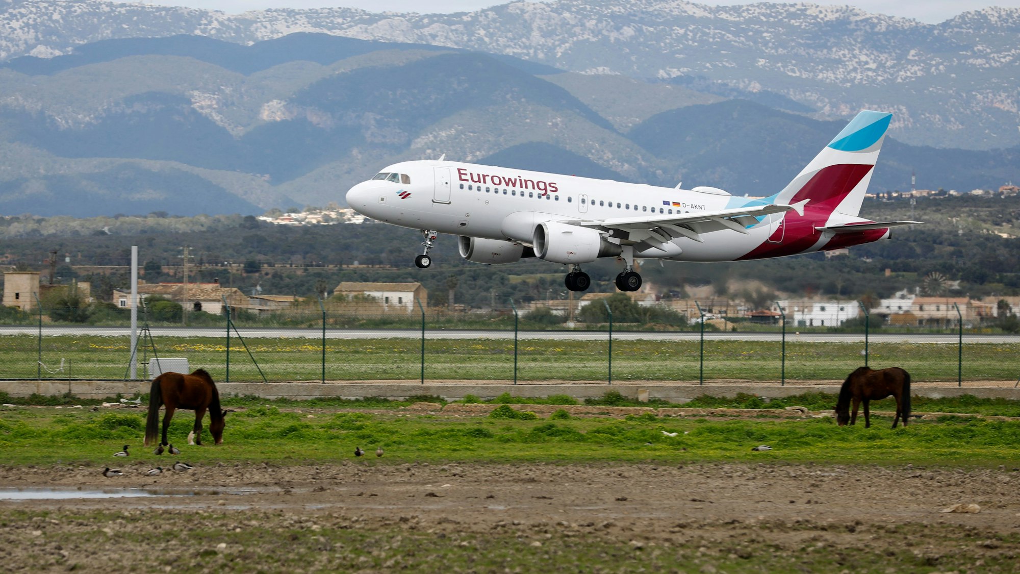 Ein Flugzeug von Eurowings landet am Flughafen von Palma de Mallorca.