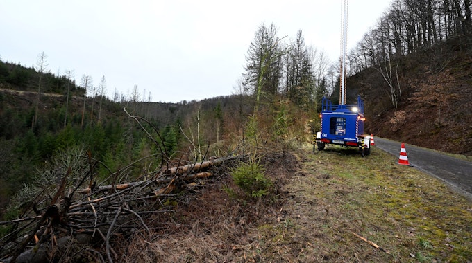 Das Waldstück bei Freudenberg, in dem am Sonntag die Leiche eines 12-jährigen Mädchens gefunden wurde.