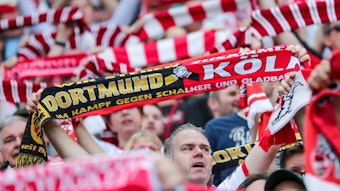 Ein Fußball-Fan hält einen Fan-Schal hoch, auf dem die Logos und Schriftzüge von Borussia Dortmund und dem 1. FC Köln zu sehen sind.