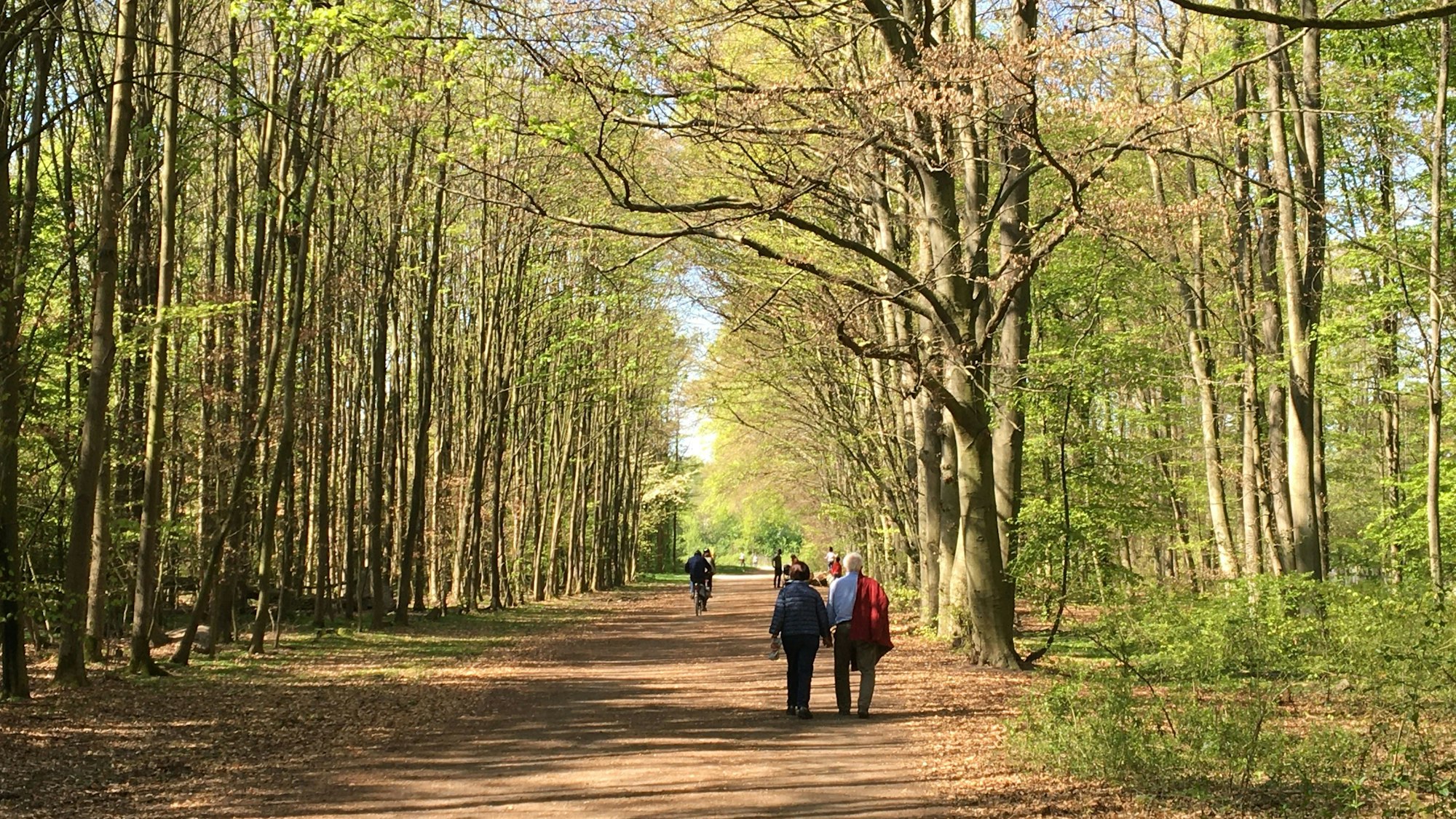 Spaziergänger in einem Wald