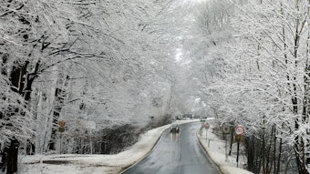 Ein Auto fährt über eine nasse Straße unter schneebedeckten Bäumen hindurch.