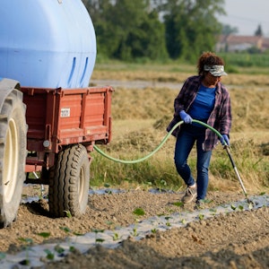 Eine Landwirtin bewässert ein Kürbisfeld in der Nähe des Flusses Po.
