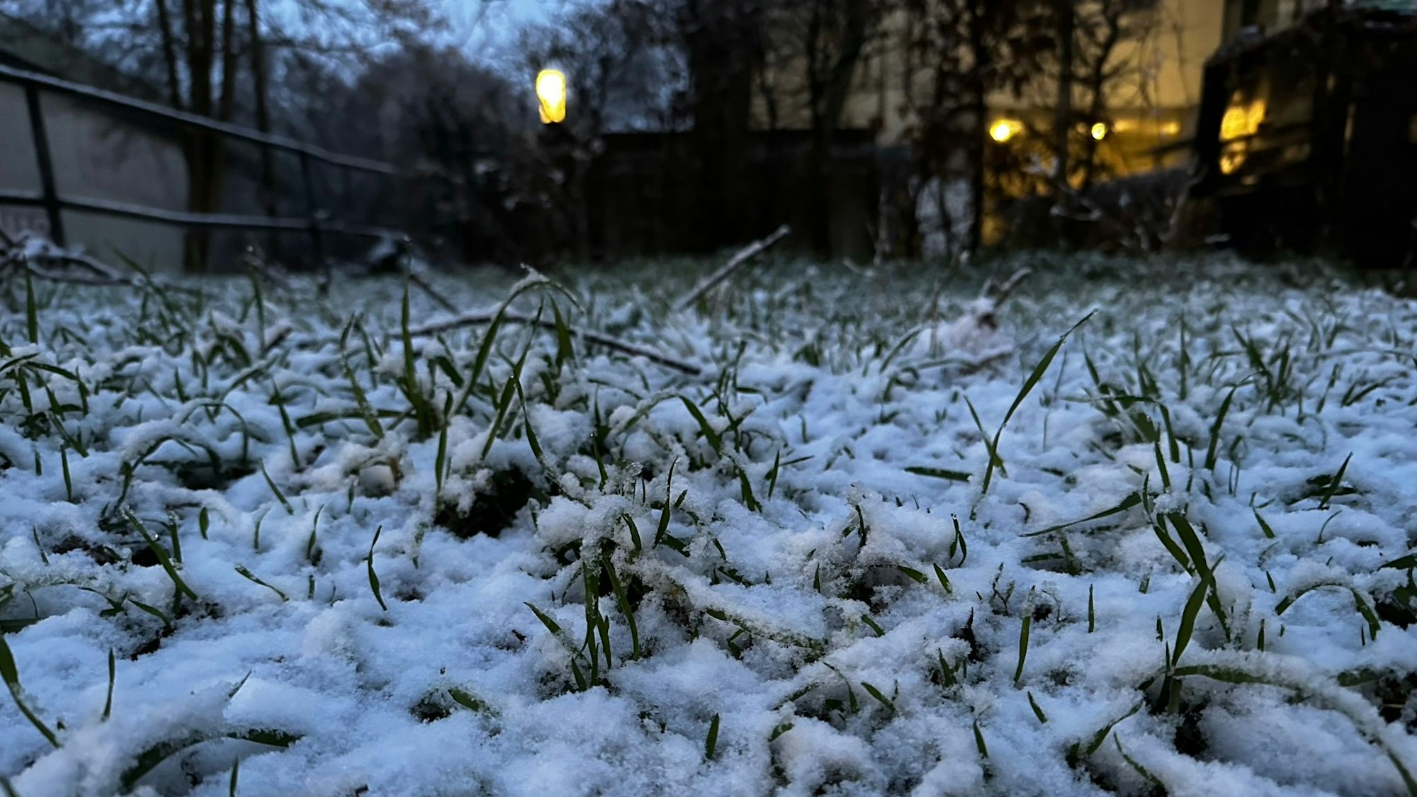 Schnee am Mittwochmorgen in Köln.