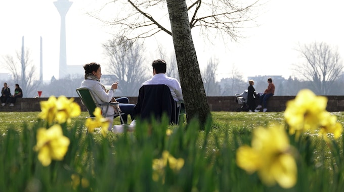 Zwei Menschen verbringen ihre Mittagspause zwischen Blumen am Düsseldorfer Rheinufer.